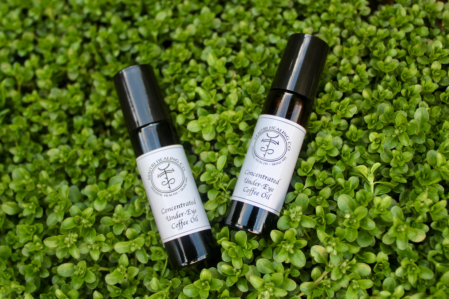 Concentrated Under-eye Coffee Oil - Maitri Healing Co.